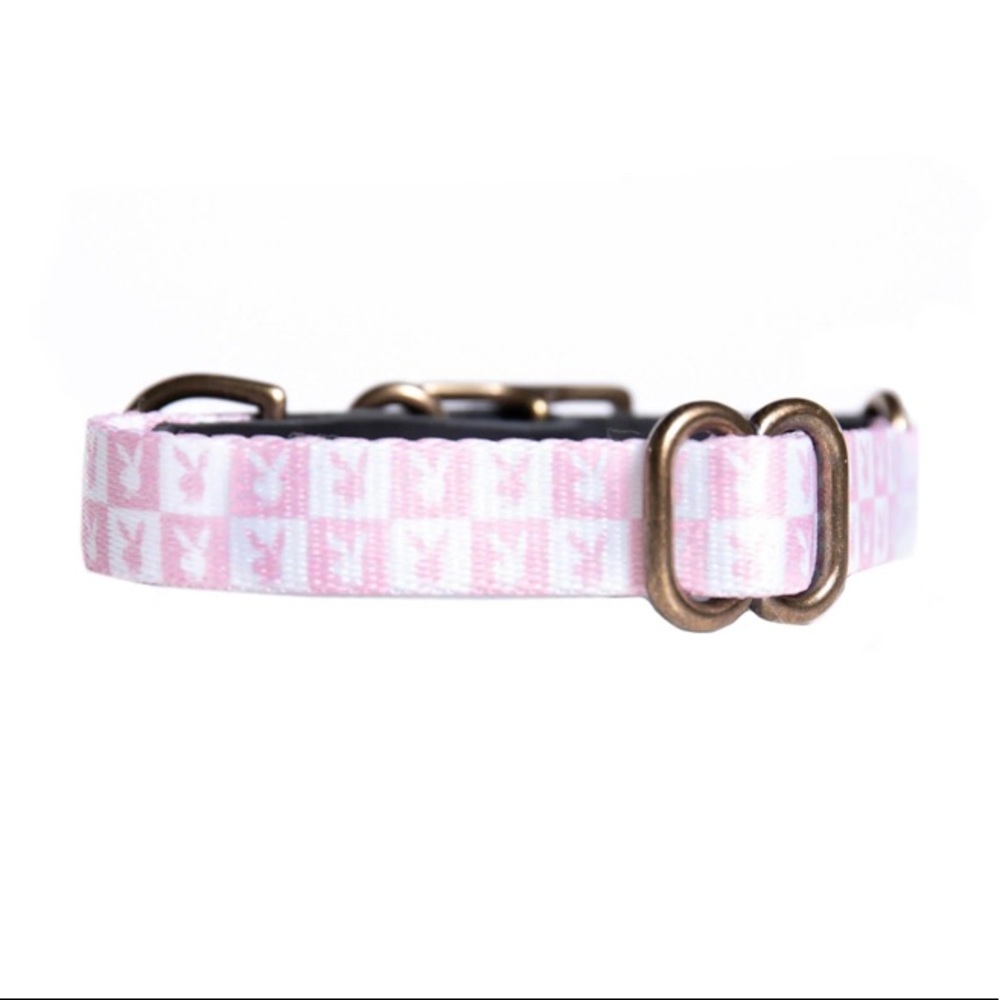 playboy dog collar- brand new/ never worn